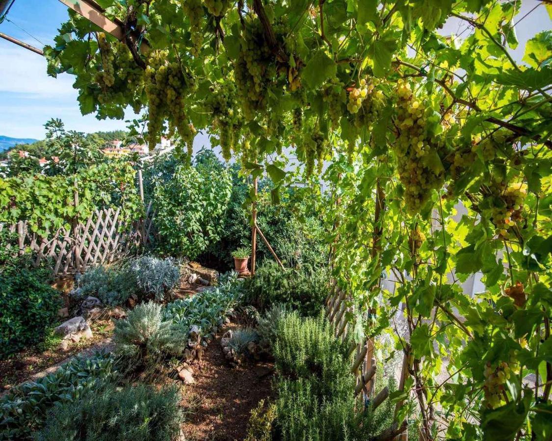 Apartments In Vrbnik/Insel Krk 13597 外观 照片